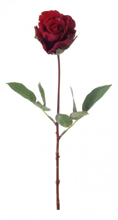 Цветок  Роза 56006200 [2798380] 