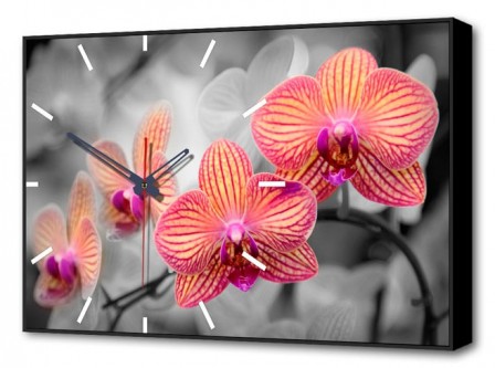 Настенные часы  Орхидеи BL-2202 [2800144]