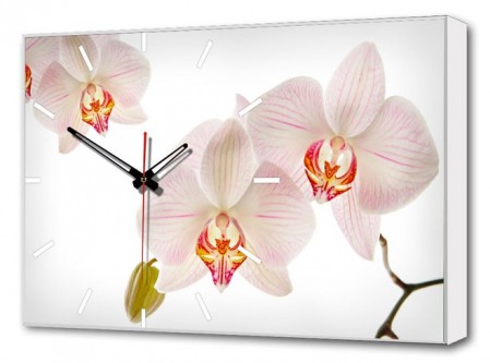 Настенные часы  Орхидеи BL-2204 [2800145]