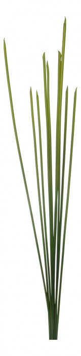 Зелень  Бамбуковый куст 58002700 [2798328] 