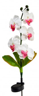Цветок Орхидея PL301 06258 [2812250]