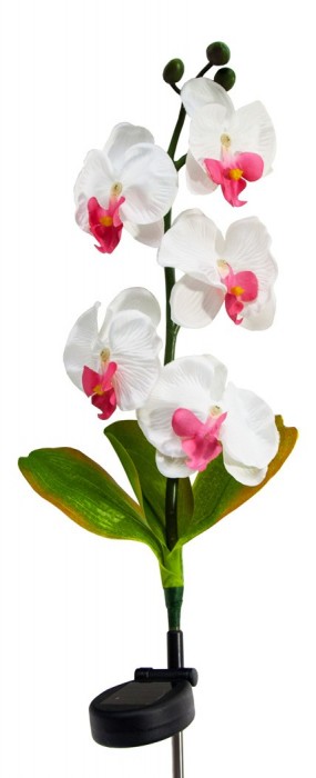 Цветок Орхидея PL301 06258 [2812250] 