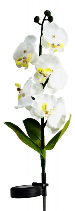 Цветок Орхидея PL301 06259 [2812249] 