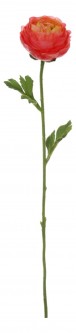 Цветок  Лютик средний 58014900 [2798442]
