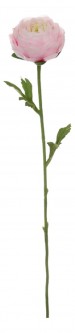 Цветок  Лютик средний 58015100 [2798444]