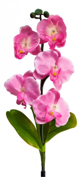 Цветок Орхидея PL301 06257 [2812251] 
